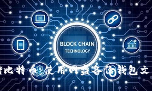 如何安全存储比特币：使用网盘备份钱包文件的最佳实践