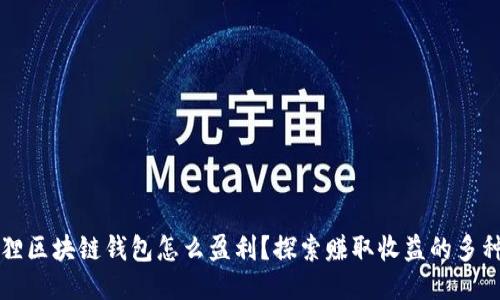 小狐狸区块链钱包怎么盈利？探索赚取收益的多种方式