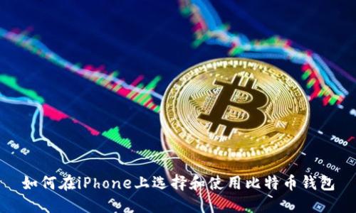 如何在iPhone上选择和使用比特币钱包