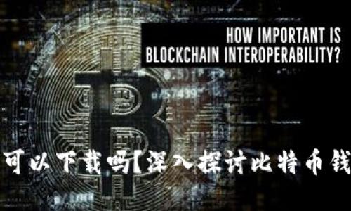 比特币钱包的币可以下载吗？深入探讨比特币钱包的使用与安全