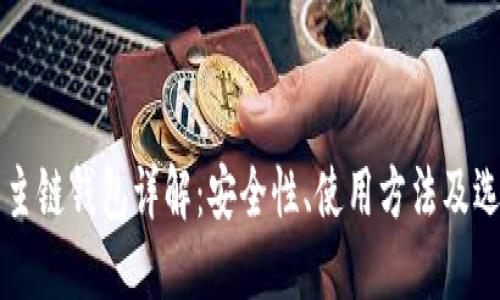 比特币主链钱包详解：安全性、使用方法及选购指南