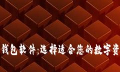 存虚拟币的钱包软件：选