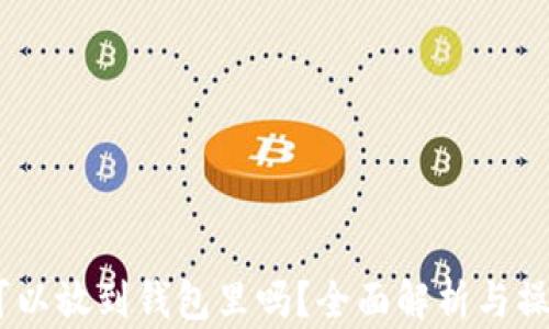 
USDT可以放到钱包里吗？全面解析与操作指南