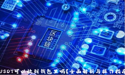 
USDT可以放到钱包里吗？全面解析与操作指南