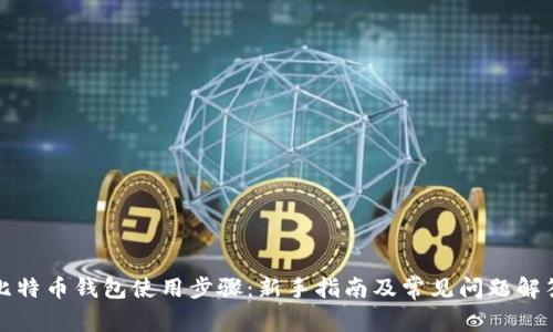 比特币钱包使用步骤：新手指南及常见问题解答