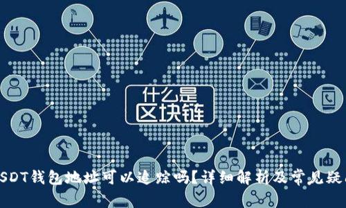 USDT钱包地址可以追踪吗？详细解析及常见疑问
