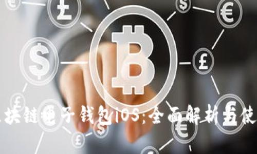 中银区块链电子钱包iOS：全面解析与使用指南