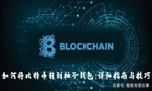 如何将比特币转到柚子钱包：详细指南与技巧