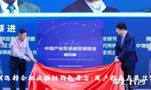 如何选择合肥区块链钱包平台：用户指南与最佳实践