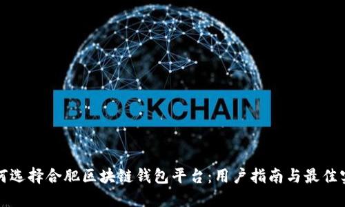 如何选择合肥区块链钱包平台：用户指南与最佳实践