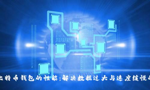 如何比特币钱包的性能：解决数据过大与速度缓慢的问题