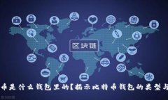 比特币是什么钱包里的？
