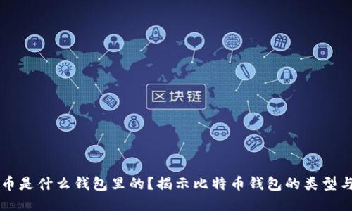 比特币是什么钱包里的？揭示比特币钱包的类型与特点