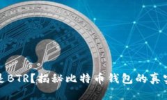 什么是BTR？揭秘比特币钱