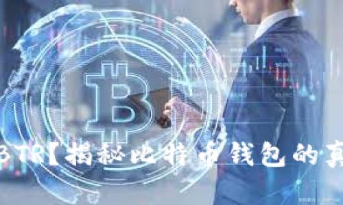 什么是BTR？揭秘比特币钱包的真实含义