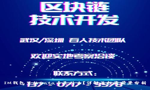 IM钱包里的Data币是什么？详解及投资前景分析