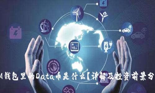 IM钱包里的Data币是什么？详解及投资前景分析