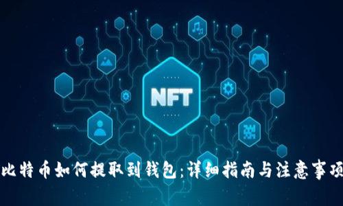 比特币如何提取到钱包：详细指南与注意事项
