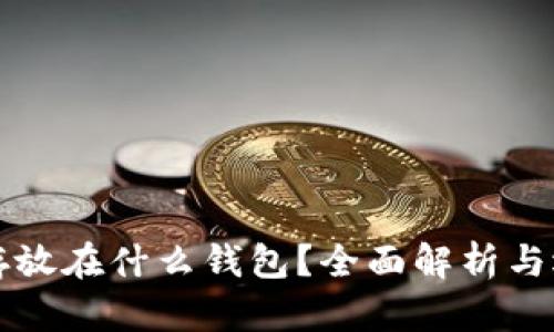 比特币存放在什么钱包？全面解析与选择指南