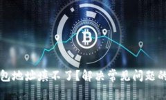 比特币钱包地址填不了？解决常见问题的全面指