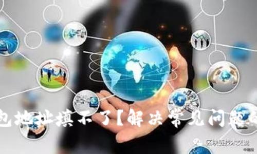比特币钱包地址填不了？解决常见问题的全面指南