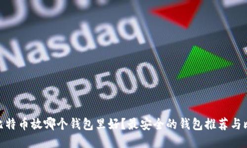 : 比特币放哪个钱包里好？最安全的钱包推荐与比较